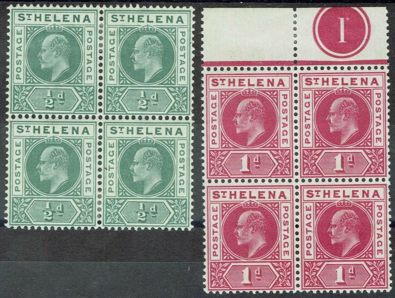 ST HELENA 1902 KEVII 1/2D AND 1D BLOCKS */**