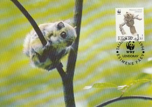 Estonia 1994 Maxicard Sc #270 1k European Flying squirrel WWF