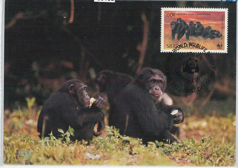 59108  -  SIERRA LEONE - POSTAL HISTORY: MAXIMUM CARD 1983 -  ANIMALS chimps WWF