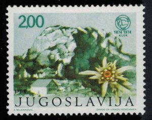 Yugoslavia Scott 1217 Mint never hinged.