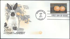 #4492 Year of the Rabbit Artcraft FDC