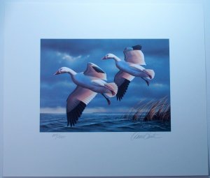 Iowa Ducks Unlimited Conservation Stamp Signed Artwork 1990 Snow Geese Birds USA