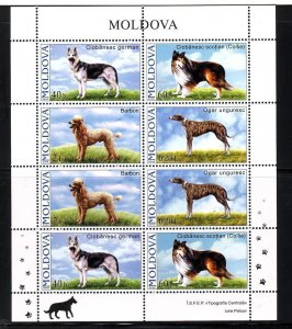MOLDOVA Sc 539-42+542A NH MINISHEETS of 2006 - DOGS 