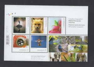 Canada #2388  (2010 Wildlife Photography sheet of 5)  VFMNH CV $6.00