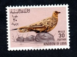 1965 - Libya - Libye- Bird - Oiseau - Set 1v.MNH** 