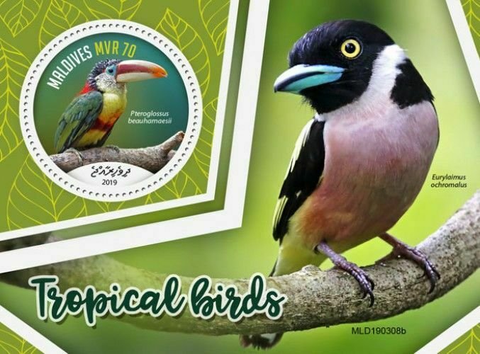 Z08 IMPERF MLD190308b MALDIVES 2019 Tropical birds MNH ** Postfrisch