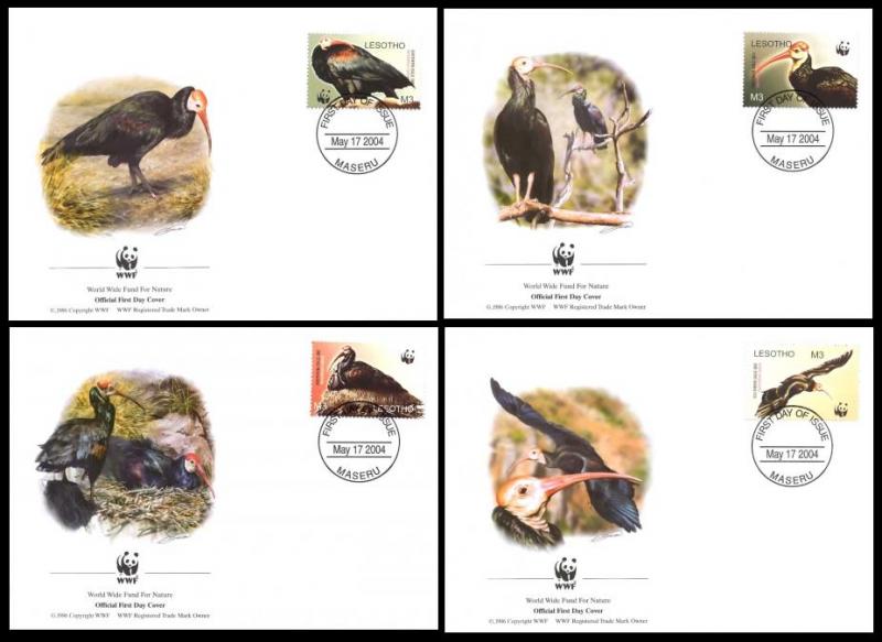 Lesotho WWF Southern Bald Ibis Birds 4 official FDCs head right