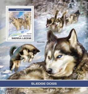 SIERRA LEONE - 2018 - Sledge Dogs - Perf Souv Sheet - MNH