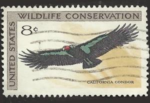 # 1430 USED CALIFORNIA CONDOR