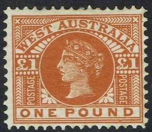 WESTERN AUSTRALIA 1902 QV 1 POUND 