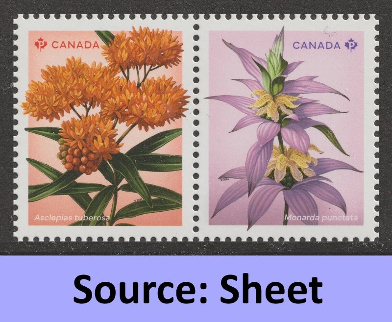 Canada 3413a-3413b Wildflowers P horz pair (from sheet) MNH 2024