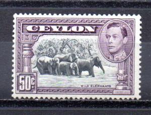 Ceylon 286c MH