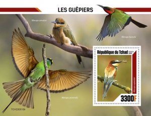 Chad - 2020 European Bee-eater Birds - Stamp Souvenir Sheet - TCH200510b