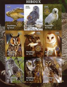 Chad 2004 BIRDS OWLS Lions & Rotary International Sheet Imperforated Mint (NH)