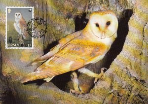 Jersey 1989 Maxicard Sc #510 13p Barn owl WWF