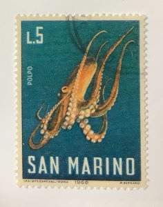 San Marino 1966 Scott 647 used - 5L,  Marine Life,  Common Octopus