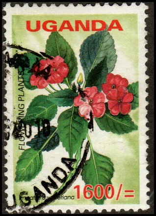 Uganda 1862 - Used - 1600sh Impatiens (2005) (cv $1.90)