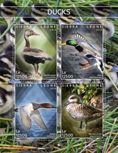 Sierra Leone - 2019 Ducks on Stamps - 4 Stamp Sheet - SRL191209a