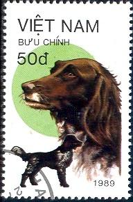 Dog, English Setter, Vietnam stamp SC#2018 used