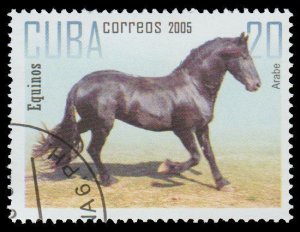 LATIN AMERICA 2005. SCOTT # 4520. USED. HORSE