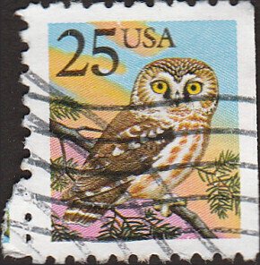 # 2285 USED OWL