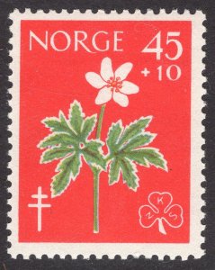 NORWAY SCOTT B62