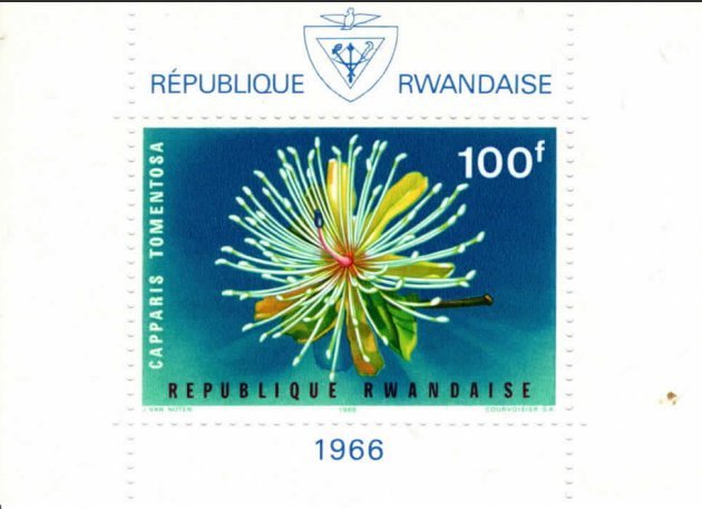 Rwanda 160a MNH Miniature Sheet Flower 1966 VF