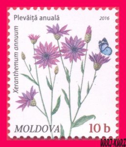 MOLDOVA 2016 Nature Flora Plants Wild Meadow Field Flowers Dry-Flower 1v Sc904