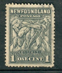 Newfoundland #253 used single - perf 12.5