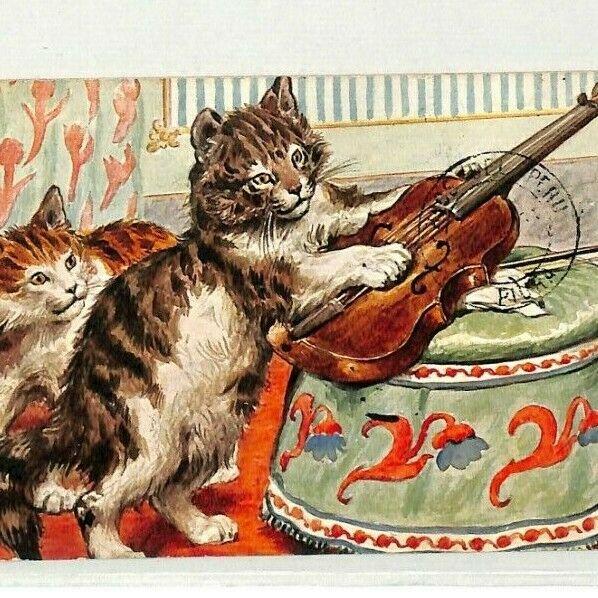 Peru CATS Postcard VIOLIN Paita MUSICAL Danzig 1911 {samwells-covers} CG137