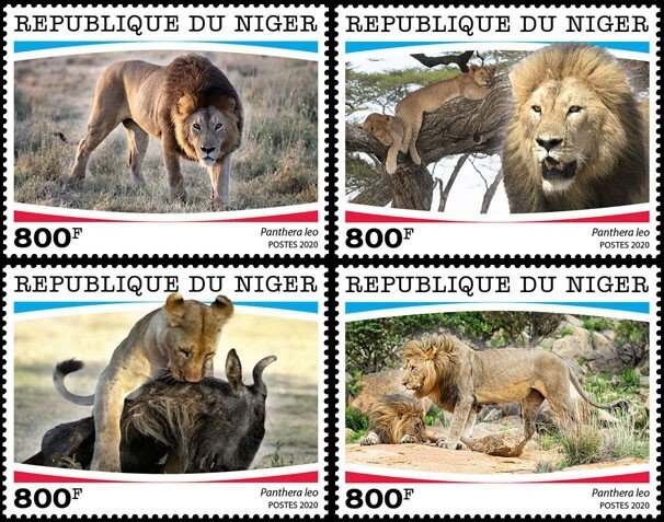 NIGER - 2020 - Lions - Perf 4v Set - Mint Never Hinged