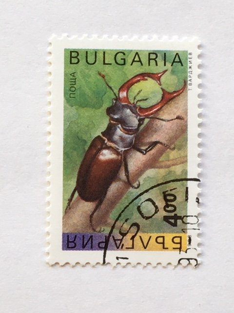 Bulgaria – 1992 – Single “Insect” Stamp – SC# 3713 – CTO