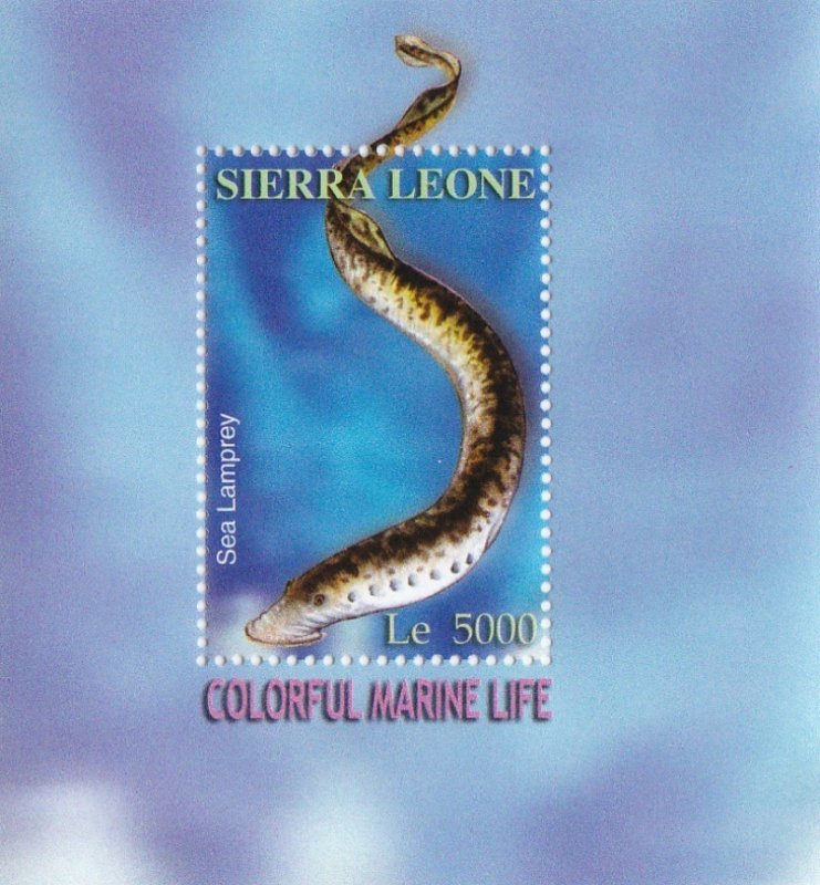 Sierra Leone # 2710 & 2711, Colorful Marine Life, Souvenir Sheets NH, 1/2 Cat.