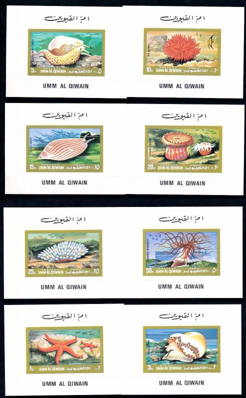 [48397] Umm al Qiwain 1972 Marine life 8 de luxe imperforated blocks MNH