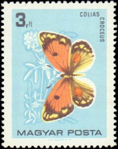 Hungary #1726-1734, Complete Set(9), 1966, Butterflies, Insects, Never Hinged