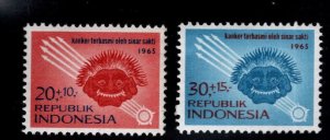 Indonesia Scott B180-B181 MNH** 1965 Makara Mask and Magic Rays set Anti Cancer