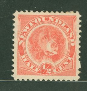 Newfoundland #57 Unused Single (Dog)