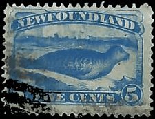 NEWFOUNDLAND   #55 USED (6)