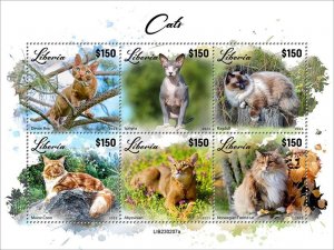 LIBERIA- 2023 - Cats - Perf 6v Sheet - Mint Never Hinged