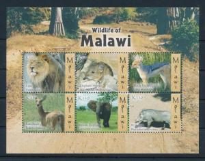 [38778] Malawi 2009 Wild Animals Lion Jackal Elephant Warthog MNH Sheet