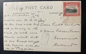 1928 Sandakan North Borneo RPPC Postcard Cover To Netherlands Coconuts