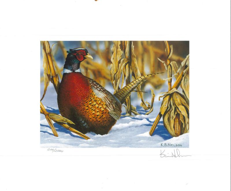 MINNESOTA #16U 1998 STATE PHEASANT  STAMP PRINT by Kevin Nelson