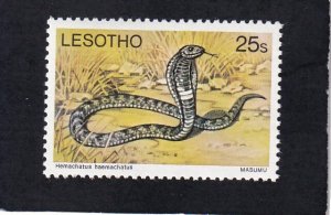 Lesotho   #   273    MNH