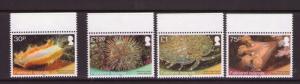 FALKLAND ISLANDS Marine Life superb MNH