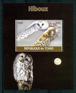 Chad 2016 MNH Owls 1v M/S Hiboux Birds of Prey Stamps