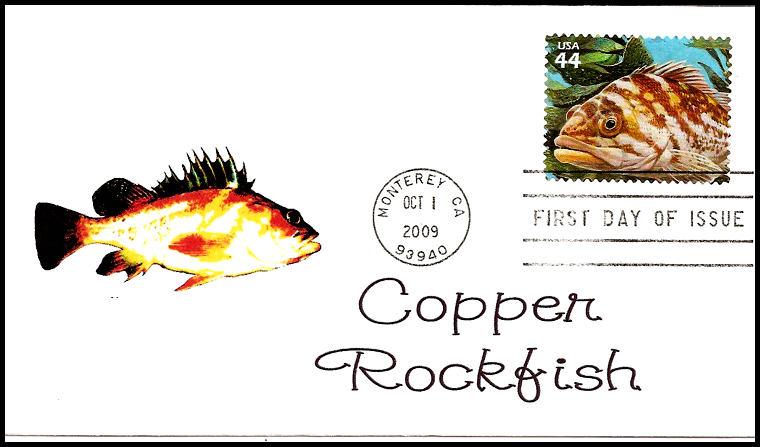 FDc - 2009 Kelp Forest Series - Copper Rockfish  - 2009