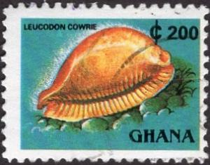 Ghana 1357E - Used - 200ce Leucodon Cowrie (1991) (cv $0.55)