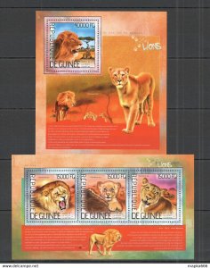 2014 Guinea Animals Fauna Wild Wild Cats Lions 1Kb+1Bl ** Stamps St758