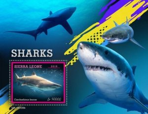 Sierra Leone - 2019 Sharks on Stamps - Stamp Souvenir Sheet - SRL190509b