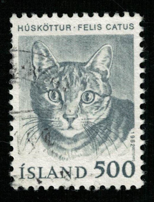 1982, Felis Catus, Iceland, 500c (Т-9934)